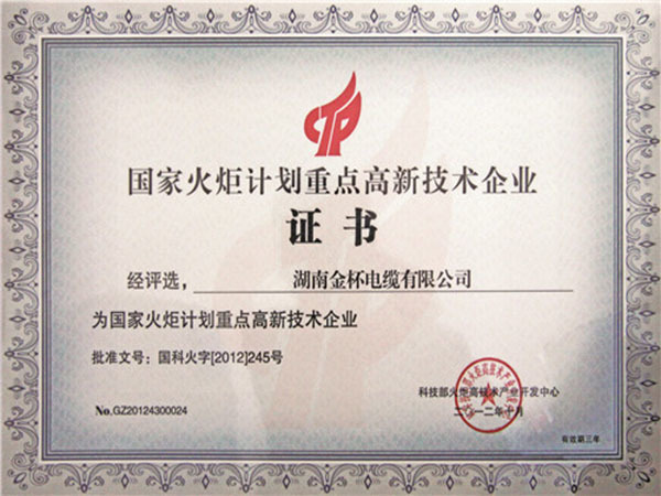 国家火炬妄想重点高新手艺企业